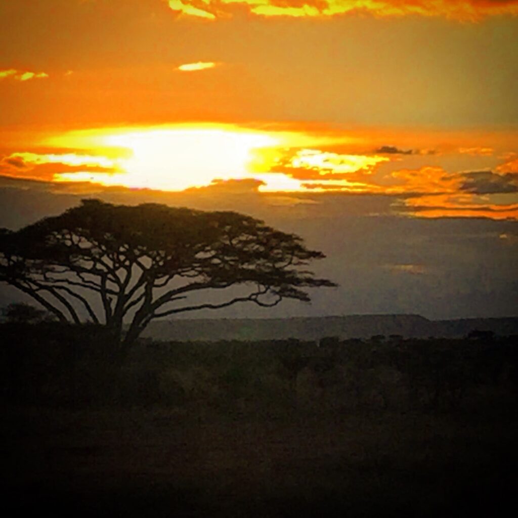 jeep safari nel Kruger National Park in Sudafrica