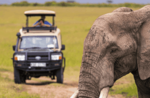 Scopri di più sull'articolo Kruger National Park o riserva privata? Quale safari scegliere in Sudafrica
