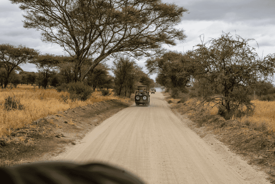 jeep safari nel Kruger National Park in Sudafrica